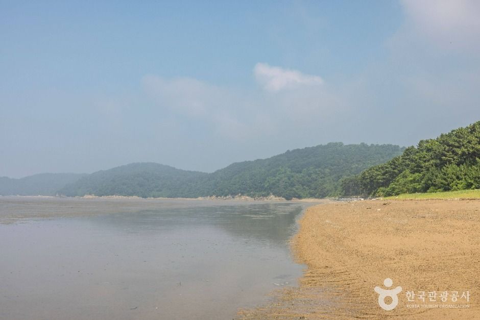강화도 뚜벅이 여행 1일차 볼음도는 간조 시에 약 6㎞에 이르는 광활한 갯벌이 드러나며, 갯벌 체험이나 자연 관찰 활동에 적합한 환경을 제공합니다.