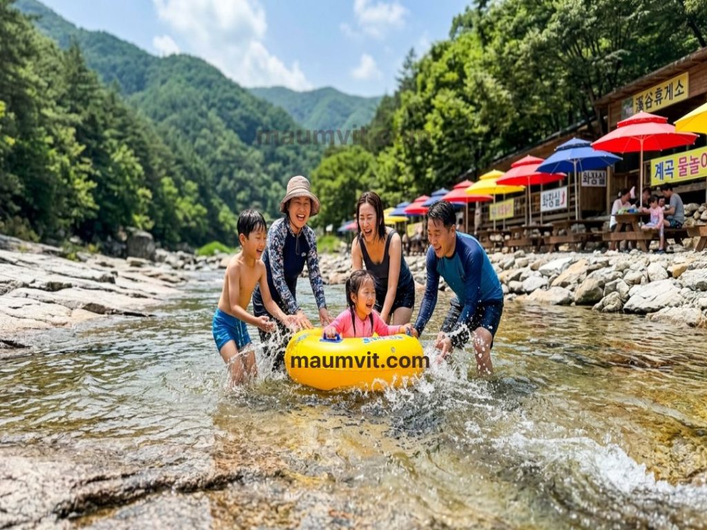 무료 파라솔 인프라가 완비된 포천 백운계곡 하류 완만한 수심에서 튜브를 타고 안전하게 물놀이를 즐기는 가족들